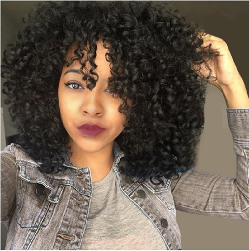African & Euro-American Wigs: Short Curly Fluffy Hair, Long Curly Styles