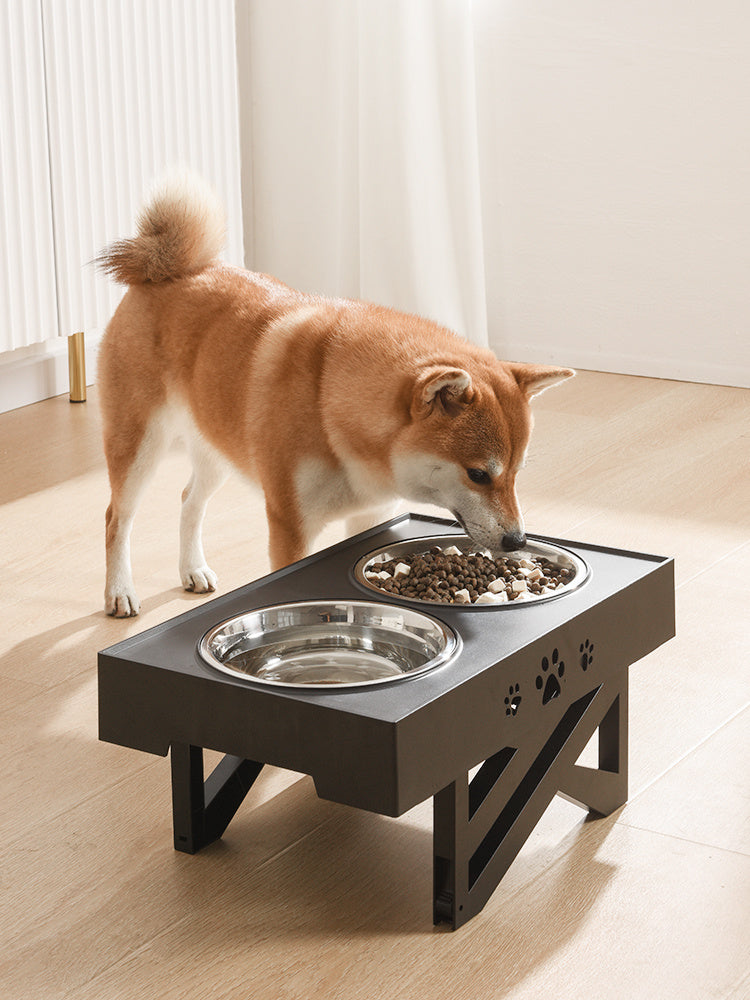 Collapsible Folding Pet Bowl with Stainless Steel Insert | Dog & Cat Feeder