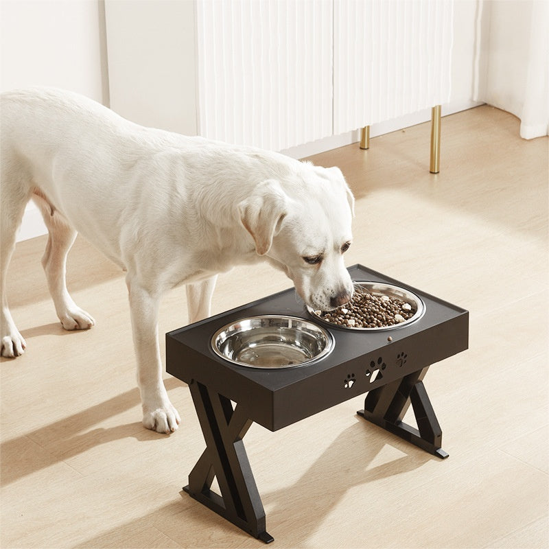 Collapsible Folding Pet Bowl with Stainless Steel Insert | Dog & Cat Feeder