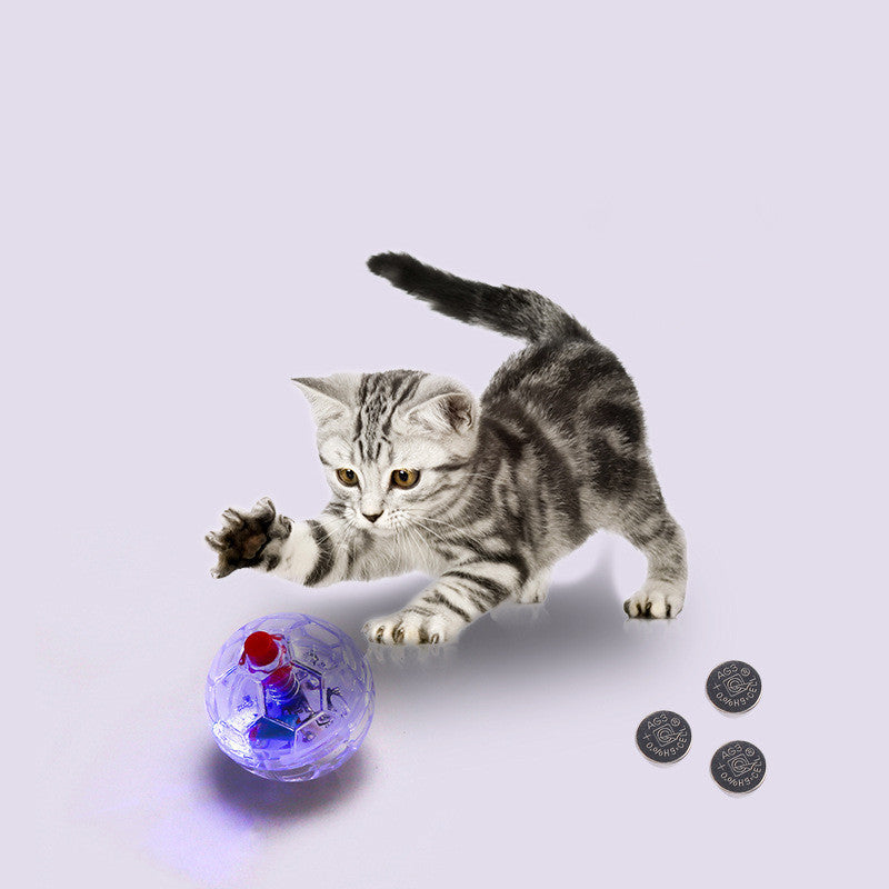 Funny Training Cat Glow Ball | Interactive Transparent Plastic Toy for Pets