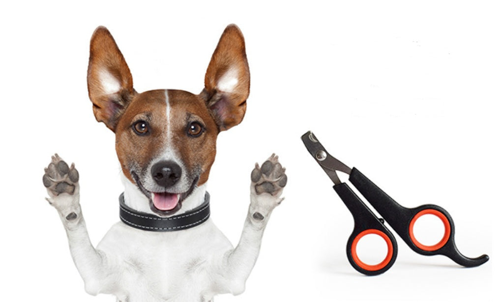 Dog & Cat Nail Scissors | Safety Clipper Tool for Pet Grooming