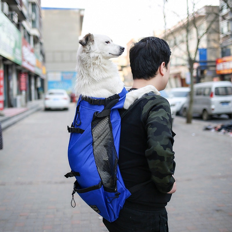 Double Shoulder Pet Carrier Backpack | Outdoor Travel Bag for Dogs & Puppies