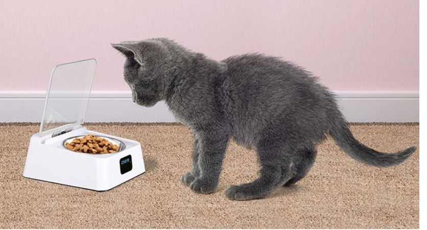 Next-Gen Pet 5G Smart Feeder | Programmable Automatic Food Dispenser