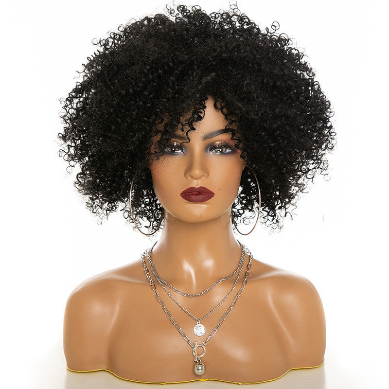 Soft Kinky Curly Afro Wig | Full Head Coily Texture Hairpiece