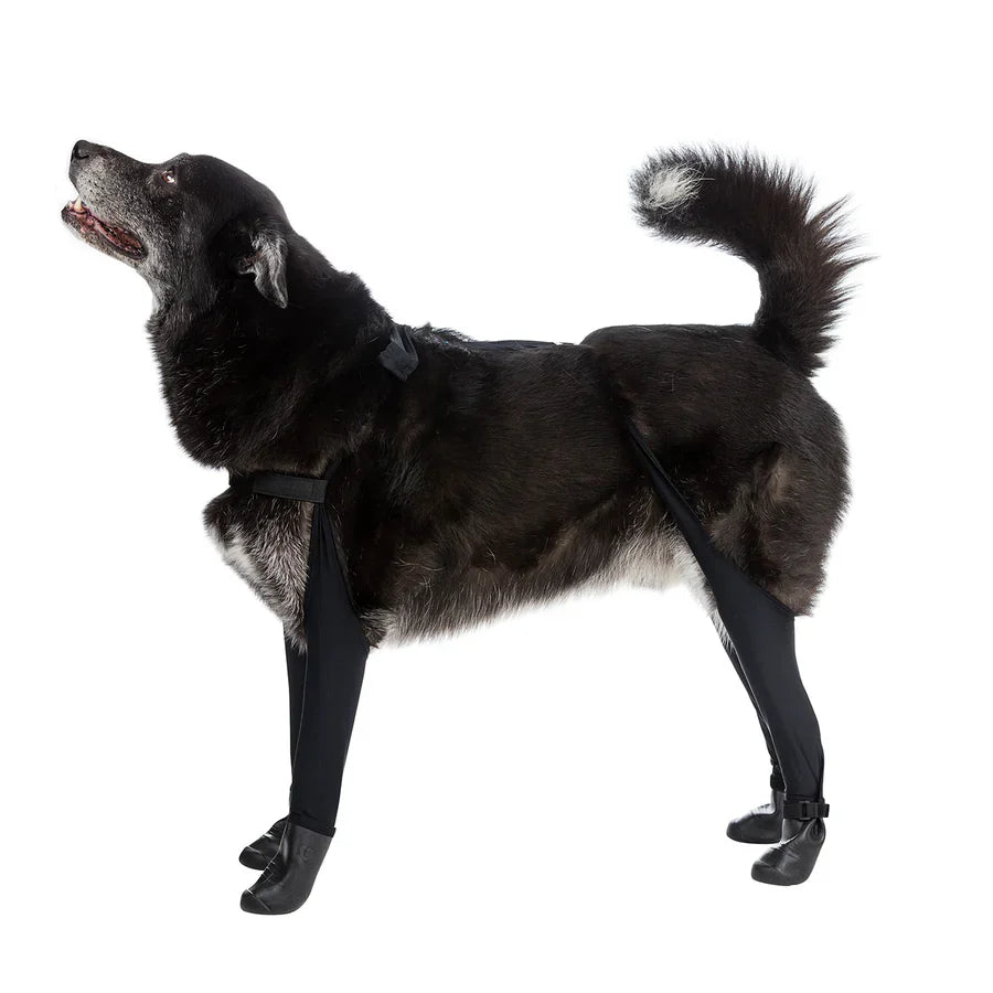 Premium Dog Leggings for Boots | Deluxe Anti-Slip Protective Winter Leg Covers